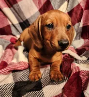 processed/7eb58085-b03d-41e5-a772-d14aa24b9163/listing/2693aff4-c8c6-436f-b92d-5059993a8df8/9650caf2-280e-4b92-9999-8c3e6ad074db