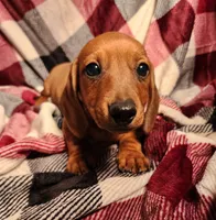 processed/7eb58085-b03d-41e5-a772-d14aa24b9163/listing/2693aff4-c8c6-436f-b92d-5059993a8df8/c59d44d3-a8a7-45df-8d69-c78a3b215111