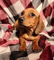 processed/7eb58085-b03d-41e5-a772-d14aa24b9163/listing/2693aff4-c8c6-436f-b92d-5059993a8df8/ecb6609a-f53d-4a2b-8671-bb8ce6dd03fa