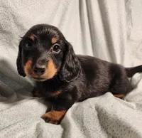 processed/7eb58085-b03d-41e5-a772-d14aa24b9163/listing/4aecee85-b667-40fb-ba94-ca0e57bf138f/12565e59-97b4-4d93-be5d-ebb04cf92975