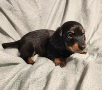 processed/7eb58085-b03d-41e5-a772-d14aa24b9163/listing/4aecee85-b667-40fb-ba94-ca0e57bf138f/549dc8ac-44fb-442d-b9e9-3f5d38a4e06a