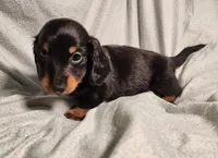 processed/7eb58085-b03d-41e5-a772-d14aa24b9163/listing/4aecee85-b667-40fb-ba94-ca0e57bf138f/5af041c9-3fde-4804-a9ae-28f6764ea04a