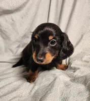 processed/7eb58085-b03d-41e5-a772-d14aa24b9163/listing/4aecee85-b667-40fb-ba94-ca0e57bf138f/5eacc522-71d5-4265-b890-d38f96c5e0f3