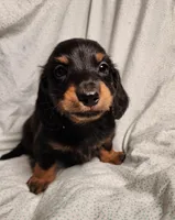 processed/7eb58085-b03d-41e5-a772-d14aa24b9163/listing/4aecee85-b667-40fb-ba94-ca0e57bf138f/69eb1426-e615-4dbe-a5f8-fd3bab6e5f89