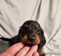 processed/7eb58085-b03d-41e5-a772-d14aa24b9163/listing/4aecee85-b667-40fb-ba94-ca0e57bf138f/744afaff-50cc-4187-b359-196ce2851b72