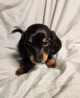 processed/7eb58085-b03d-41e5-a772-d14aa24b9163/listing/4aecee85-b667-40fb-ba94-ca0e57bf138f/885e99a5-4753-430b-b3da-54bfa163aa5a