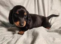 processed/7eb58085-b03d-41e5-a772-d14aa24b9163/listing/4aecee85-b667-40fb-ba94-ca0e57bf138f/bfc9197a-f31c-4572-adc6-1a9adc28d8ce