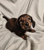 processed/7eb58085-b03d-41e5-a772-d14aa24b9163/listing/51d4c7d3-5f53-42ed-a8e0-e4e5cc2f2631/05da6b28-b749-4e2e-94a5-44b73730a9e5