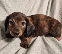 processed/7eb58085-b03d-41e5-a772-d14aa24b9163/listing/51d4c7d3-5f53-42ed-a8e0-e4e5cc2f2631/4567fc50-8dff-4945-9d95-aee265bedb55