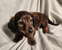 processed/7eb58085-b03d-41e5-a772-d14aa24b9163/listing/51d4c7d3-5f53-42ed-a8e0-e4e5cc2f2631/4908e21a-0e1f-4fad-8178-941cac1c9e9f