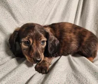 processed/7eb58085-b03d-41e5-a772-d14aa24b9163/listing/51d4c7d3-5f53-42ed-a8e0-e4e5cc2f2631/4b332ba4-78fc-4746-8ffc-c5200e5f9864