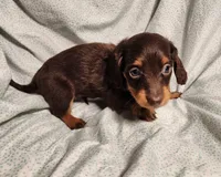 processed/7eb58085-b03d-41e5-a772-d14aa24b9163/listing/eeeafbac-5dc8-4a72-ab0d-c329d4e7d5be/3d4ef158-a423-47f8-a980-dc92ac8c6ddd