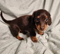 processed/7eb58085-b03d-41e5-a772-d14aa24b9163/listing/eeeafbac-5dc8-4a72-ab0d-c329d4e7d5be/57c0ef33-0644-47dc-8dc0-7204ff803c52