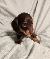 processed/7eb58085-b03d-41e5-a772-d14aa24b9163/listing/eeeafbac-5dc8-4a72-ab0d-c329d4e7d5be/72901ff1-1da0-46a7-9f2f-c86e9b8a02d4