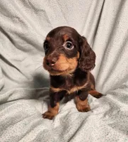 processed/7eb58085-b03d-41e5-a772-d14aa24b9163/listing/eeeafbac-5dc8-4a72-ab0d-c329d4e7d5be/aa80a636-0f76-4d6f-9fb2-5b5368783c53