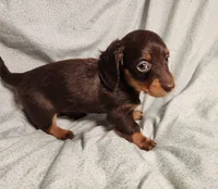 processed/7eb58085-b03d-41e5-a772-d14aa24b9163/listing/eeeafbac-5dc8-4a72-ab0d-c329d4e7d5be/baf204c5-dbc0-43ff-bd8d-857cd39d1252