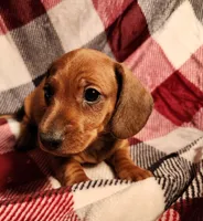 processed/7eb58085-b03d-41e5-a772-d14aa24b9163/listing/f0202e78-fe5e-4df6-839a-72df05037e44/0fa5ab8e-c433-455b-849d-e40df622b06f