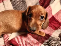 processed/7eb58085-b03d-41e5-a772-d14aa24b9163/listing/f0202e78-fe5e-4df6-839a-72df05037e44/15981b2e-da6a-4b83-b161-ab48bc818fd6