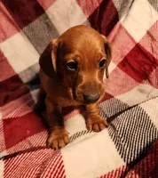 processed/7eb58085-b03d-41e5-a772-d14aa24b9163/listing/f0202e78-fe5e-4df6-839a-72df05037e44/2c9affc7-2a52-4463-adb3-8355b5ee1ed2