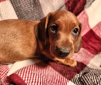 processed/7eb58085-b03d-41e5-a772-d14aa24b9163/listing/f0202e78-fe5e-4df6-839a-72df05037e44/430ea102-6595-4049-8a1e-13dae78552b8