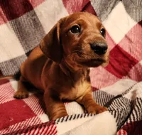 processed/7eb58085-b03d-41e5-a772-d14aa24b9163/listing/f0202e78-fe5e-4df6-839a-72df05037e44/497197e3-e0ff-48f7-91eb-ff6d41742033