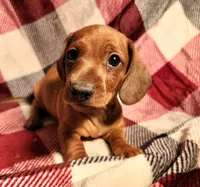 processed/7eb58085-b03d-41e5-a772-d14aa24b9163/listing/f0202e78-fe5e-4df6-839a-72df05037e44/56af7b03-b828-438d-b247-596a2b9e5ef1