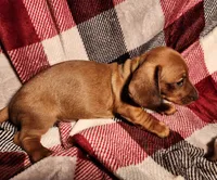 processed/7eb58085-b03d-41e5-a772-d14aa24b9163/listing/f0202e78-fe5e-4df6-839a-72df05037e44/897cbf66-71e0-47eb-8980-c9b880a004c9