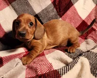 processed/7eb58085-b03d-41e5-a772-d14aa24b9163/listing/f0202e78-fe5e-4df6-839a-72df05037e44/b8a2fb74-88f9-4bc4-acc9-a2ae95fbb69a