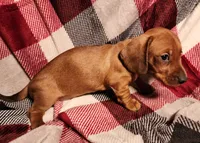 processed/7eb58085-b03d-41e5-a772-d14aa24b9163/listing/f0202e78-fe5e-4df6-839a-72df05037e44/ca72bacb-d8ee-4256-a6db-2b809fc180ce