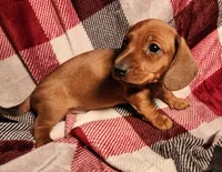 processed/7eb58085-b03d-41e5-a772-d14aa24b9163/listing/f0202e78-fe5e-4df6-839a-72df05037e44/e7983095-fc05-4c25-ae3b-a1160bcc76c4