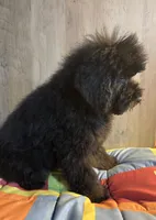 processed/7ebefeec-cd35-490b-befb-1eb278da7171/listing/8b06269d-5af0-4782-a395-e6fa1239d581/40114183-c48a-46d4-b795-81905ed4f05f