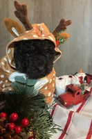 processed/7ebefeec-cd35-490b-befb-1eb278da7171/listing/8b06269d-5af0-4782-a395-e6fa1239d581/5eff8ce7-3f50-4353-b3a6-2af45e524ffb