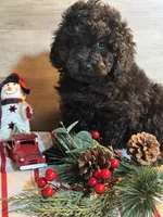 processed/7ebefeec-cd35-490b-befb-1eb278da7171/listing/8b06269d-5af0-4782-a395-e6fa1239d581/90062cc2-a19a-4949-9a9e-b8d043dead45