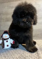 processed/7ebefeec-cd35-490b-befb-1eb278da7171/listing/8b06269d-5af0-4782-a395-e6fa1239d581/abf6b6c8-9d36-420d-ae5f-8b7f41d0b457