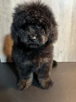 processed/7ebefeec-cd35-490b-befb-1eb278da7171/listing/8b06269d-5af0-4782-a395-e6fa1239d581/c3e8984e-14ec-4e12-80fc-5f99c8bc5502