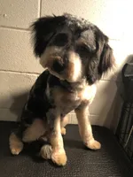 processed/7ebefeec-cd35-490b-befb-1eb278da7171/listing/8b06269d-5af0-4782-a395-e6fa1239d581/d424ad08-0da3-4709-b208-423df26ef435