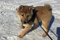 processed/7ec24e2f-d10c-41c2-a342-6fea19ed92a1/listing/32b791b8-8f42-49ab-84f6-42247cf7291d/5c9999b9-f94a-4eb9-aa99-b61edb7cfdf4