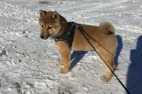 processed/7ec24e2f-d10c-41c2-a342-6fea19ed92a1/listing/32b791b8-8f42-49ab-84f6-42247cf7291d/a6226361-8287-4276-93cd-3d6d4e4e956f