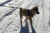 processed/7ec24e2f-d10c-41c2-a342-6fea19ed92a1/listing/32b791b8-8f42-49ab-84f6-42247cf7291d/b4f81039-2c7c-4181-8e0f-ef906b98e1b0