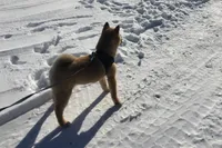 processed/7ec24e2f-d10c-41c2-a342-6fea19ed92a1/listing/32b791b8-8f42-49ab-84f6-42247cf7291d/f9941de5-4c37-42d6-a8f9-c6057d8e0309