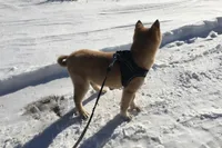 processed/7ec24e2f-d10c-41c2-a342-6fea19ed92a1/listing/ff8317de-cd0f-4105-b4a3-4cb5c95a53f0/0b930777-eb7c-40d2-8044-b3987aeb9a4c