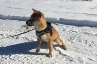 processed/7ec24e2f-d10c-41c2-a342-6fea19ed92a1/listing/ff8317de-cd0f-4105-b4a3-4cb5c95a53f0/1d5bf173-c836-485d-8bc2-fe3096c0eec8