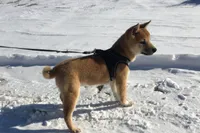 processed/7ec24e2f-d10c-41c2-a342-6fea19ed92a1/listing/ff8317de-cd0f-4105-b4a3-4cb5c95a53f0/92c38c6c-cbe4-49f0-b8b7-98165dcc0bf3