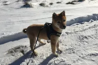 processed/7ec24e2f-d10c-41c2-a342-6fea19ed92a1/listing/ff8317de-cd0f-4105-b4a3-4cb5c95a53f0/b5f54c3a-aac1-4f86-b938-d14bc3a966f8