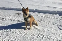 processed/7ec24e2f-d10c-41c2-a342-6fea19ed92a1/listing/ff8317de-cd0f-4105-b4a3-4cb5c95a53f0/bf1cffbd-4009-432a-a7a1-45d7cf6ac240