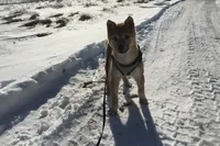 processed/7ec24e2f-d10c-41c2-a342-6fea19ed92a1/listing/ff8317de-cd0f-4105-b4a3-4cb5c95a53f0/d14d9403-c2fa-4fec-a6b4-9110976606ce