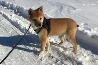 processed/7ec24e2f-d10c-41c2-a342-6fea19ed92a1/listing/ff8317de-cd0f-4105-b4a3-4cb5c95a53f0/d6bd2ef6-73d9-47c6-b36a-54508a65f150