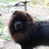 processed/7ec2cff1-fa0d-41cd-8dd4-d2deef96efda/facility/1906a26c-fc83-4a78-ae7d-753ede96d9d4