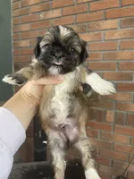 processed/7eca067b-4cdc-43b8-964e-983ae96c9384/listing/0aeccbf6-e594-4040-8ffd-0956d3a65a1c/817b363d-e234-4e4b-bea9-084438b76a90