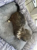 processed/7eca067b-4cdc-43b8-964e-983ae96c9384/listing/0aeccbf6-e594-4040-8ffd-0956d3a65a1c/9a254530-afad-4d9a-8884-791c2806407c